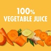 image:imageV8 Beet Ginger Lemon 100 Vegetable Juice 46 fl oz BottleCarrot Ginger