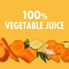 image:imageV8 Beet Ginger Lemon 100 Vegetable Juice 46 fl oz BottleCarrot Ginger