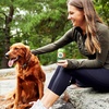 image:imageV8 Original 100 Vegetable Juice 55 fl oz Can 48 PackOriginal